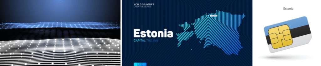 Estonia: The European Digital Pioneer